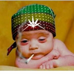 Meet your Posher, Mia